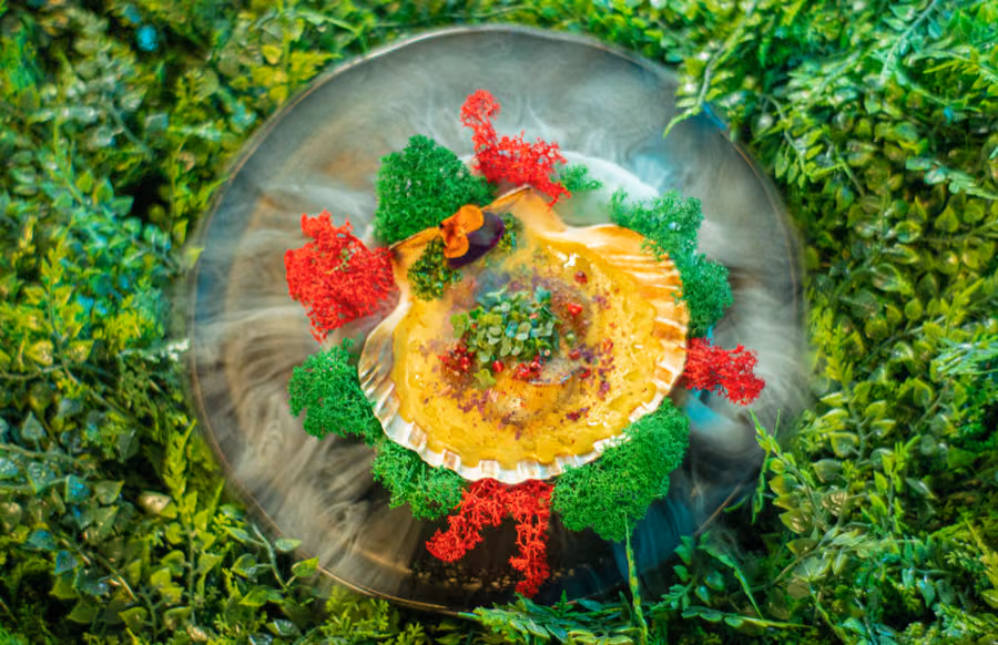 Scallop dish plated on a shell with edible flowers and moss at Tantra Edinburgh
